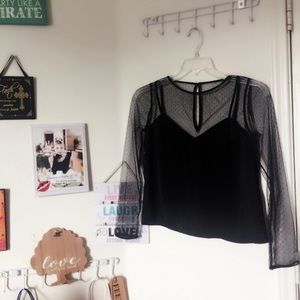 ✨ Polka dot Mesh V Neck Top